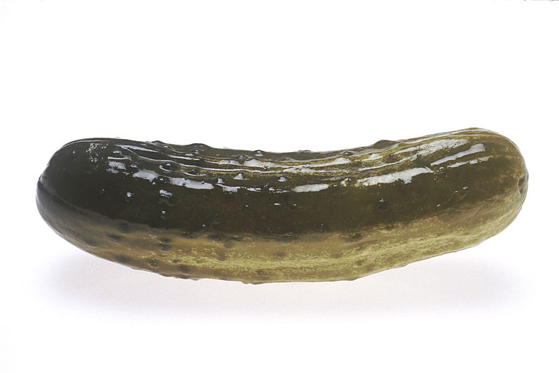 File:Pickle (1).jpg