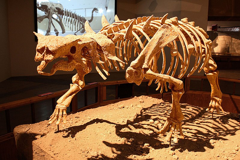 File:Pinacosaurus.jpg