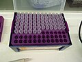 Box of pipette tips in SBS format (Starlab)