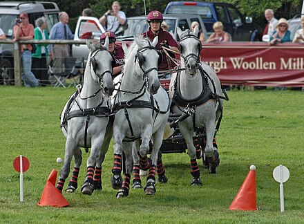 Driving horse