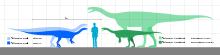 Size comparison of four Plateosaurus specimens representing two species Plateosaurus Scale.svg