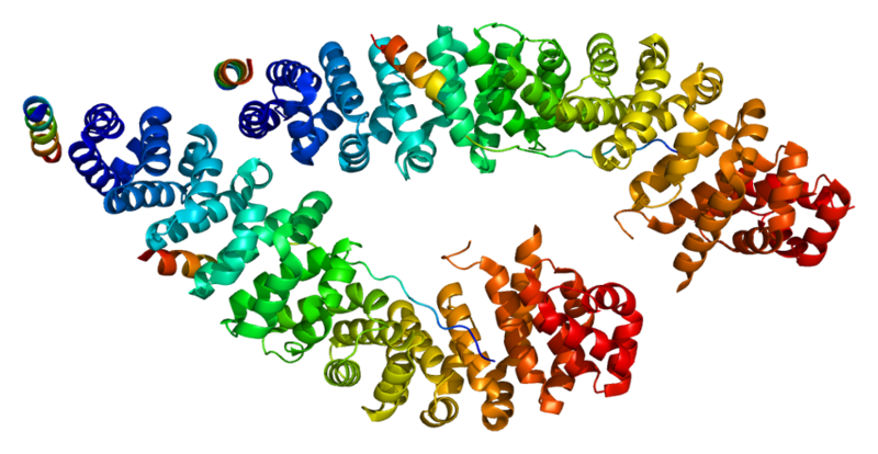 File:Protein BCL9 PDB 2gl7.png