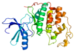 Thumbnail for Cyclin-dependent kinase 2