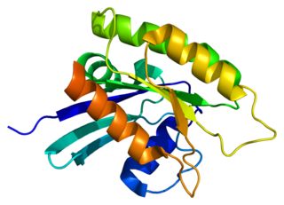 <span class="mw-page-title-main">MRAS</span> Protein