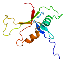 Białko PLCE1 PDB 2bye.png