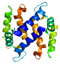 Ақуыз S100A3 PDB 1kso.png