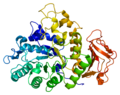 Thumbnail for 4F2 cell-surface antigen heavy chain