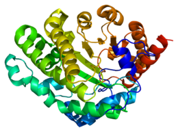 Protein UROD PDB 1jph.png