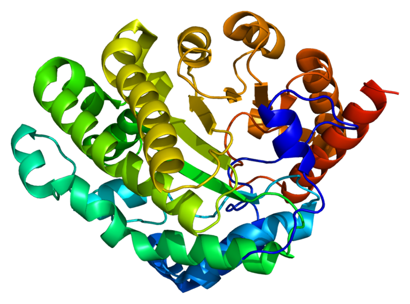 File:Protein UROD PDB 1jph.png