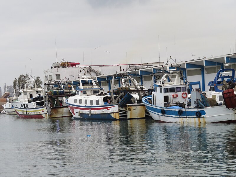 Archivo:Puerto pesquero, Grao de Castellón.jpg