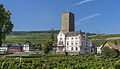 Boosen Castle Rüdesheim