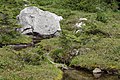 Alpine Lakes Wilderness