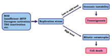 Rationale for enhancing replication stress to kill cancer cells Rationale for enhancing replication stress to kill cancer cells.png