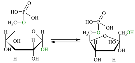 Glucólisis