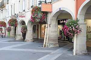 Remiremont: Géographie, Urbanisme, Toponymie