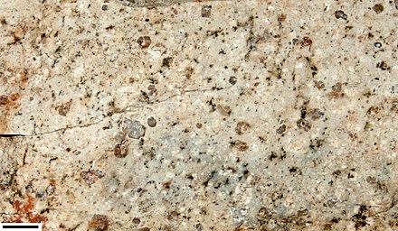 Rhyolite porphyry from Colorado; scale bar in lower left is 1 cm (0.39 in)