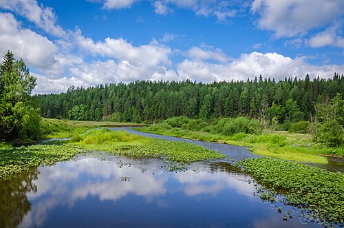 Совершенная река. Висимский заповедник река Сулем. Река Сулем Свердловская область. Сулема река. Сулем фото.