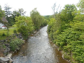 Rivière aux Chiens (Côte-de-Beaupré) River in La Côte-de-Beaupré Regional County Municipality, Quebec, Canada