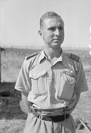 <span class="mw-page-title-main">George Gilroy (RAF officer)</span> British flying ace of WWII