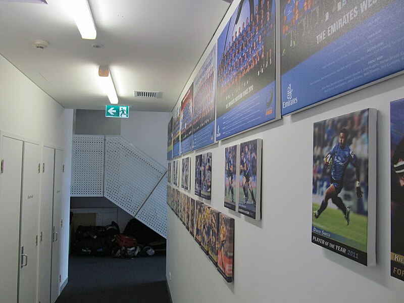 File:Rugby WA Force wall.jpg