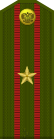 Ryssland-Army-OF-3-1994-field.svg