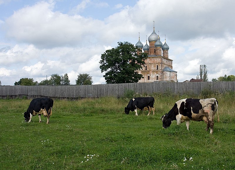 Պատկեր:Russian landscape - Rostov, Russia - panoramio.jpg