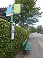 The bus stop at Hayward Avenue, on Marlborough Road, Ryde, Isle of Wight for Southern Vectis routes 2 and 3. From 5 September 2010 route 2 was withdrawn from the area leaving only route 3. During the Summer, the Downs Tour also serves the stop, which the flag on the left is for.