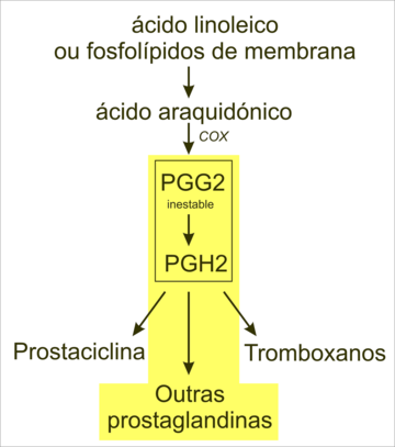 Prostanoide