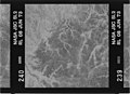 Kodak B&W infrared film with 800-900 nm bandpass filter