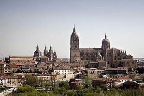 Blick auf Salamanca
