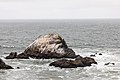 * Nomination Seal Rocks off the coast in San Francisco, California, USA --XRay 04:08, 6 November 2022 (UTC) * Promotion  Support Good quality. --Tagooty 04:16, 6 November 2022 (UTC)