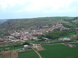 <span class="mw-page-title-main">San Martín de Rubiales</span> Municipality and town in Castile and León, Spain