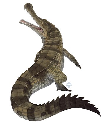 File:Sarcosuchus Illustration.jpg