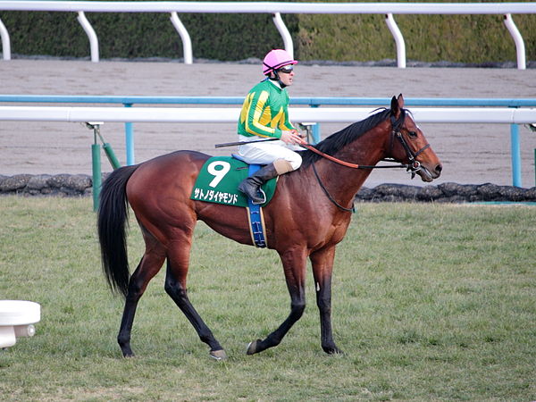 Satono Diamond at Kyoto in February 2016