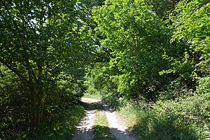 Schleswig-Holstein, Kuden, Landschaftsschutzgebiet Klev von St. Michaelisdonn bis Burg NIK 3087.jpg