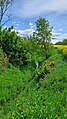 Schulau an der Unterquerung der Bachstraße in Voldewraa