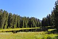 Geschütztes Moorgebiet Schwarzsee in Arosa/Schweiz, Blick in Richtung Haus Paradies.