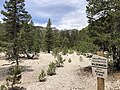 Thumbnail for Owens River Headwaters Wilderness