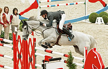 Cavalgando um cavalo cinza visto de perfil pulando um obstáculo.