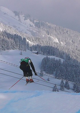 Illustrasjonsbilde av artikkelen Katrin Müller (freestyle ski)