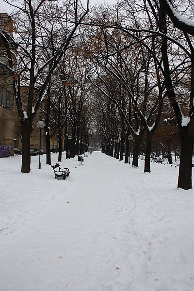 File:Skopski Gradski Park (105).jpg