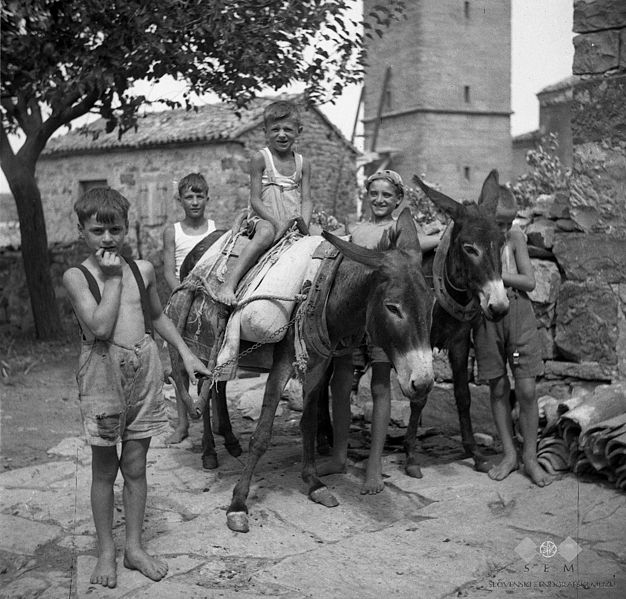 File:Skupina otrok z mušo in žrebetom, Pomjan 1950.jpg