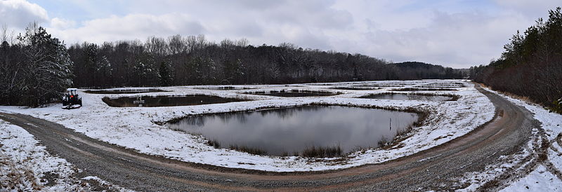 File:Snow at the University of Mississippi Field Station 1.JPG