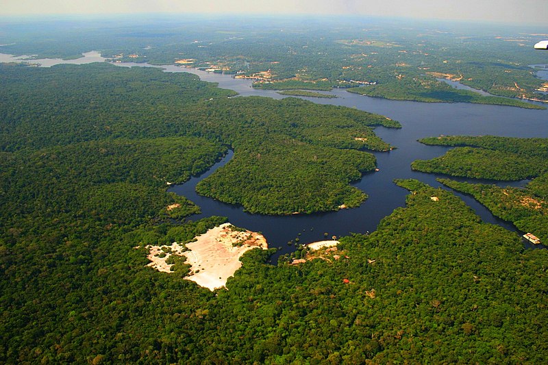 File:Sobre o Panemão margem esquerda do Rio Negro - panoramio.jpg