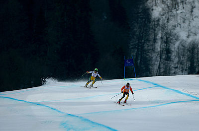 Melissa Perrine and her guide Andy Bor in the Women's Downhill at the 2014 Winter Paralympics Sochi2014 D1 DH M Perrine 01.JPG