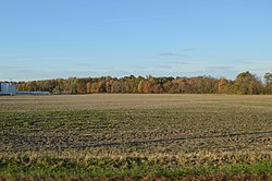 Fields southeast of Shelby