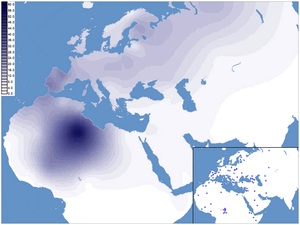 Mtdna Haplogroup H