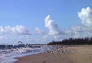 St. Lucie Inlet Preserve State Park