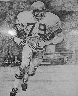 Steve Chomyszak American football defensive tackle (1944-1988)