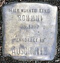 Stolperstein for a Rommni (Thieboldsgasse 9)